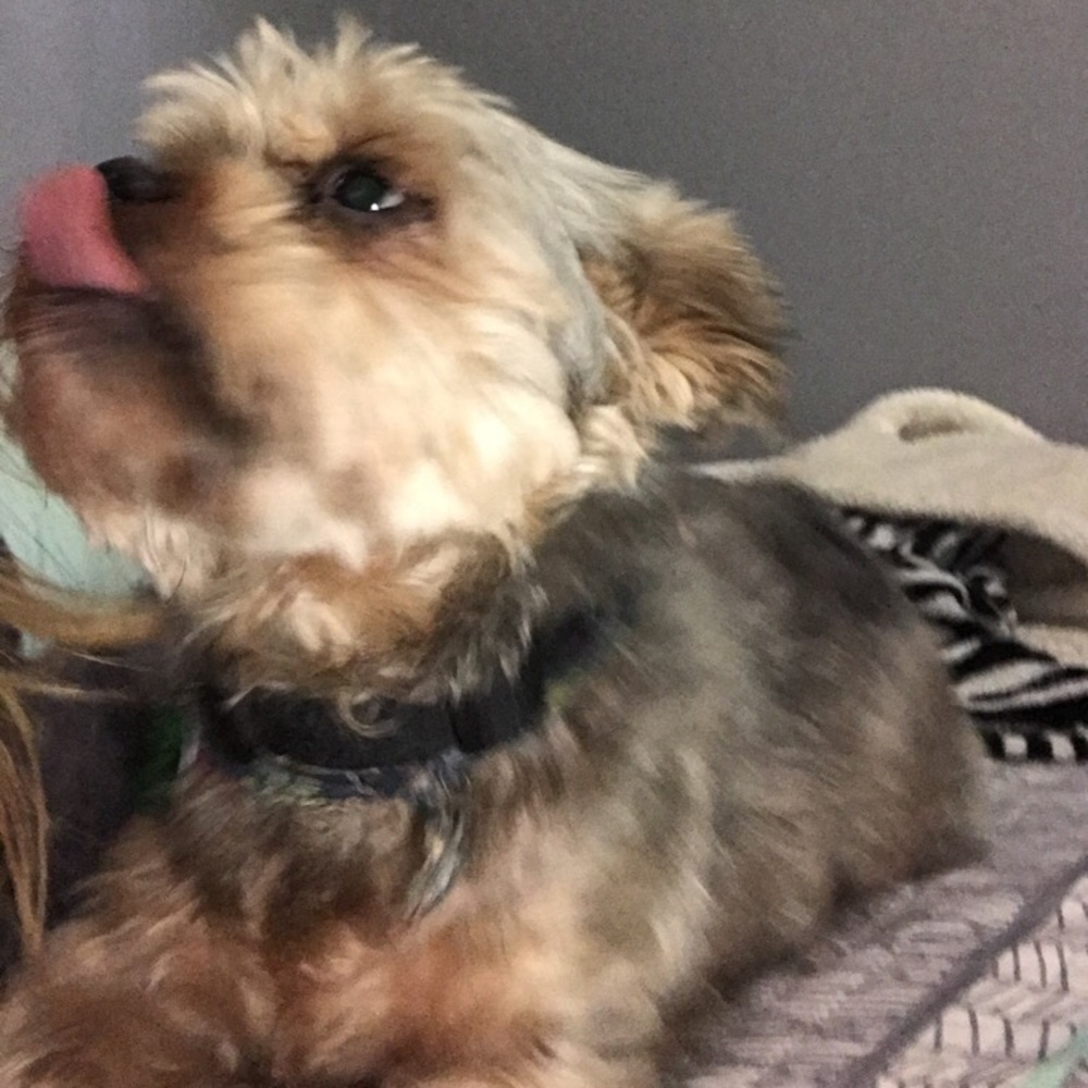 Meet your Posher, Kelsey